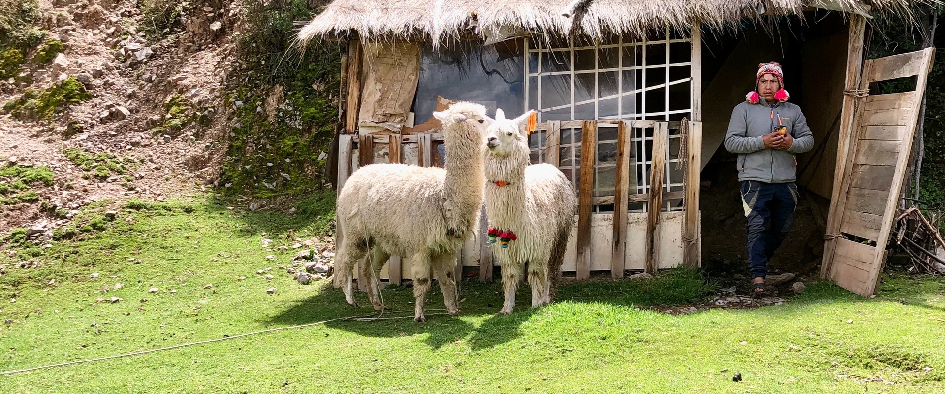 Boer in Peru