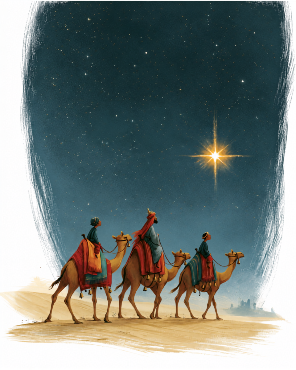 Kamelen in Bethlehem