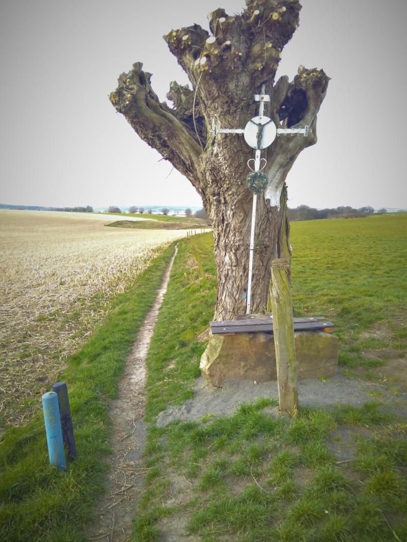 Foto wandeltocht boom met kruis