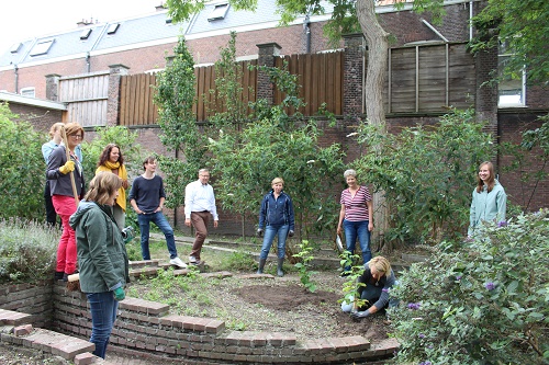 Team vastenactie plant frambozenstruiken