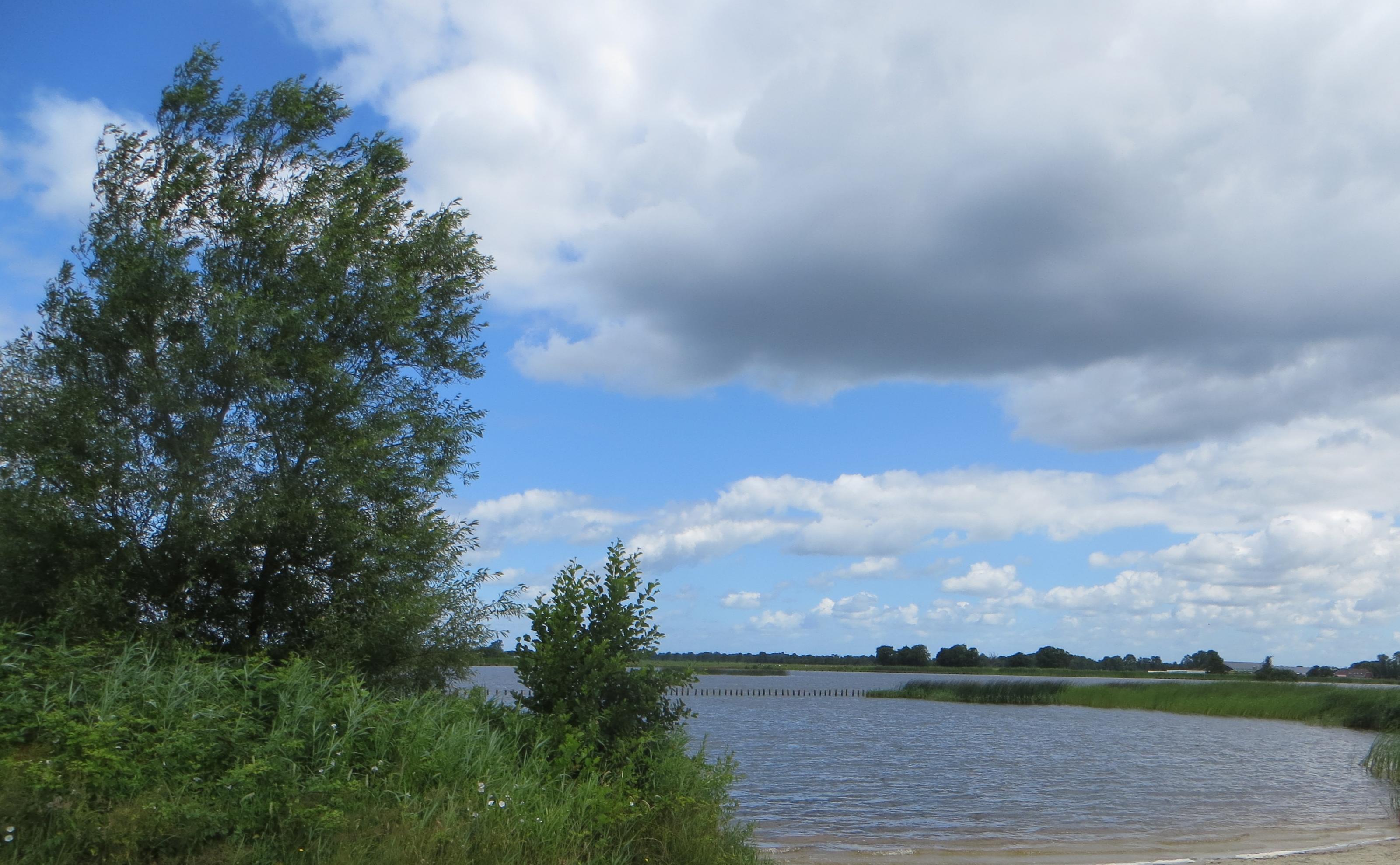 smalle eester friesland