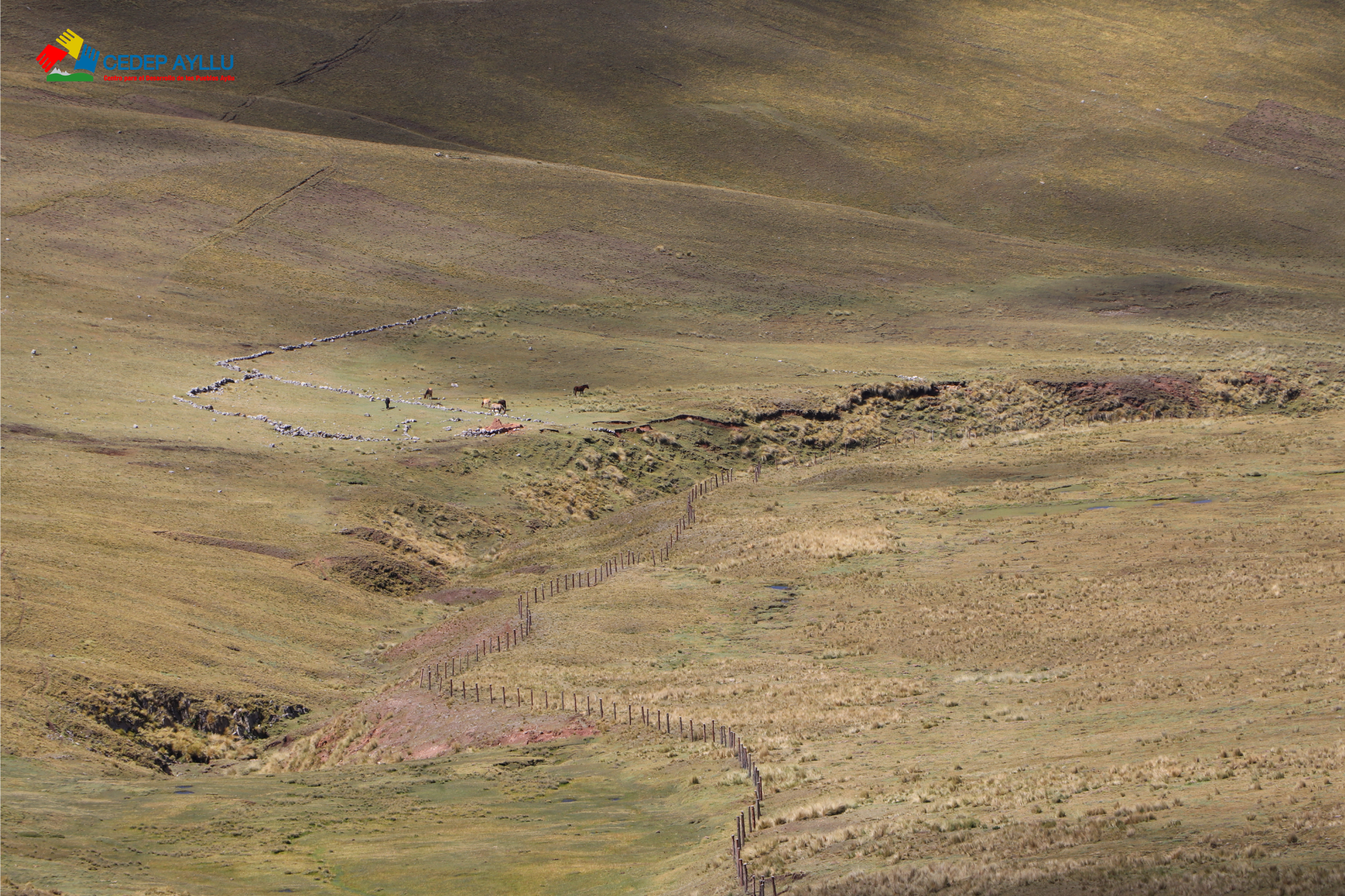 situatie Peru voor start