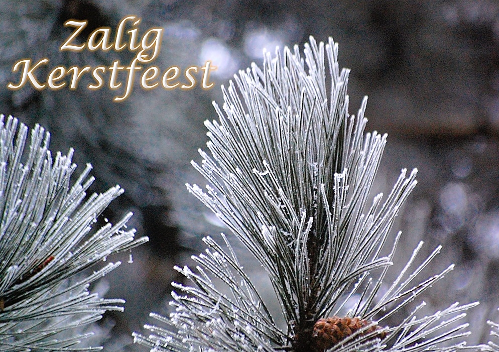 zalig kerstfeest