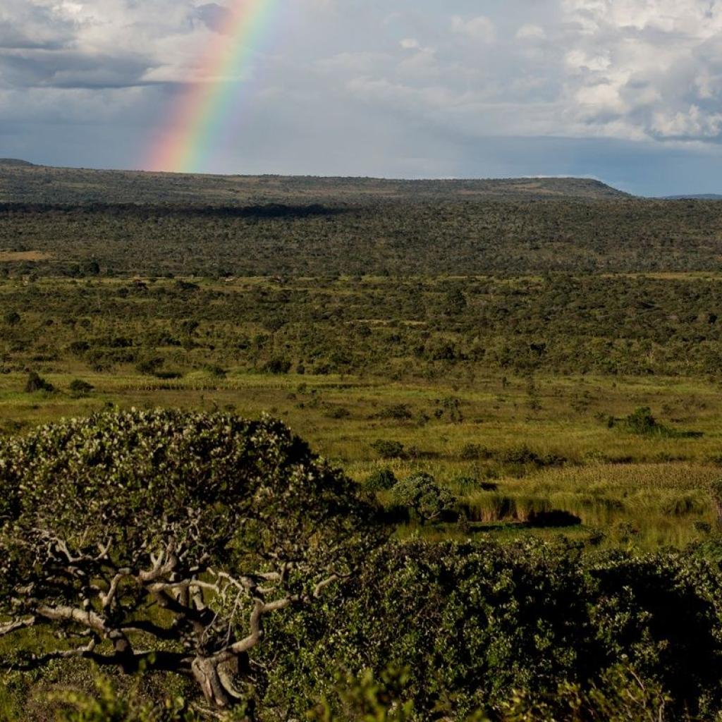 landschap Zambia