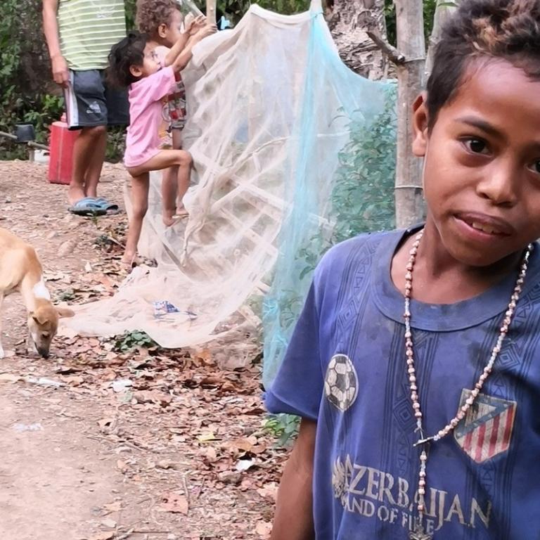 Foto project 402449 West-Timor