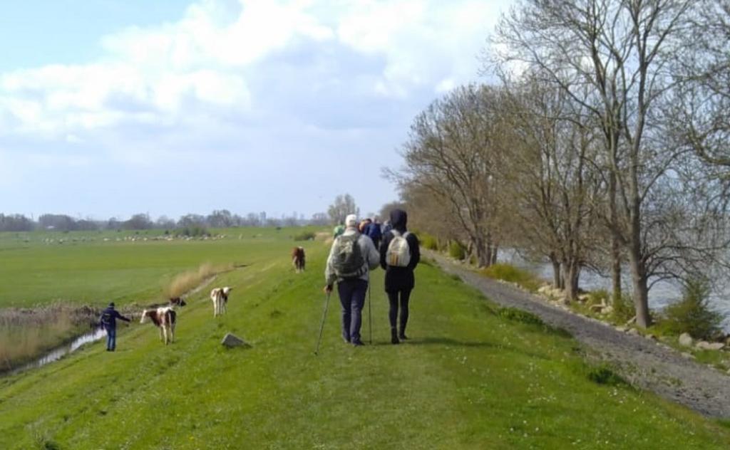 Wandeltocht