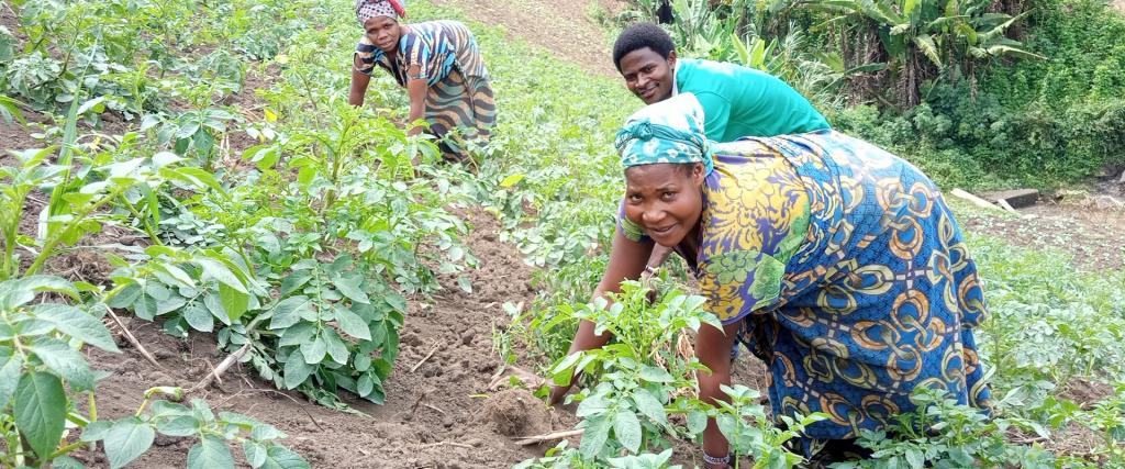 Wieden onkruid in DR Congo