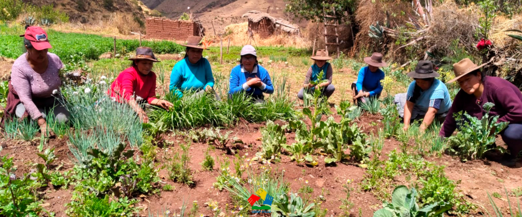 Boerengemeenschap in Peru