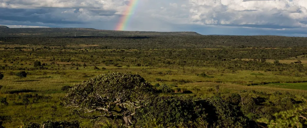 landschap met regenboog